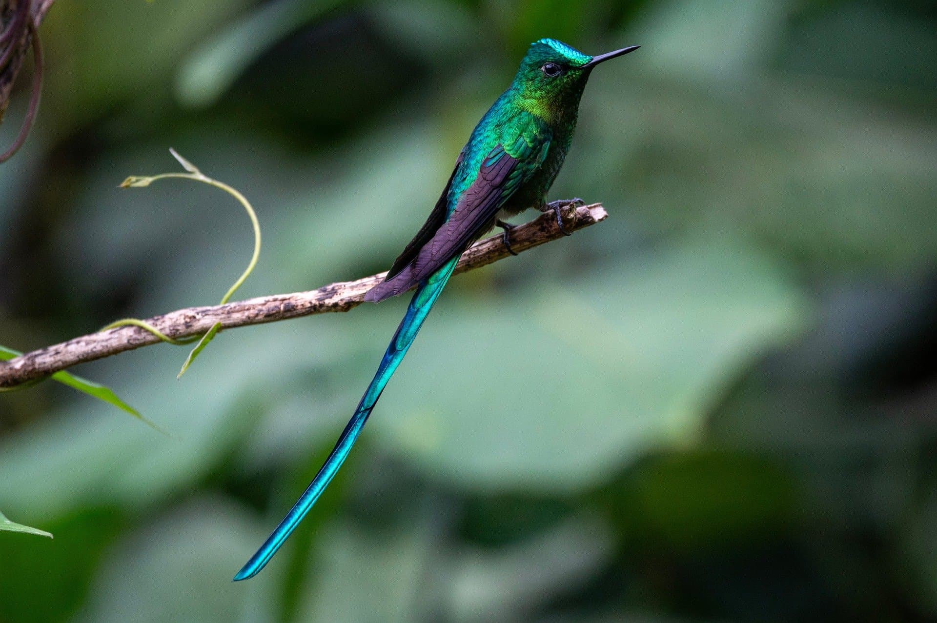 내가만든 프로젝트 02